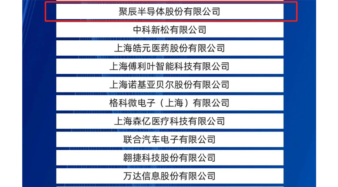 365速发国际股份入选2024上海硬核科技企业TOP100榜单